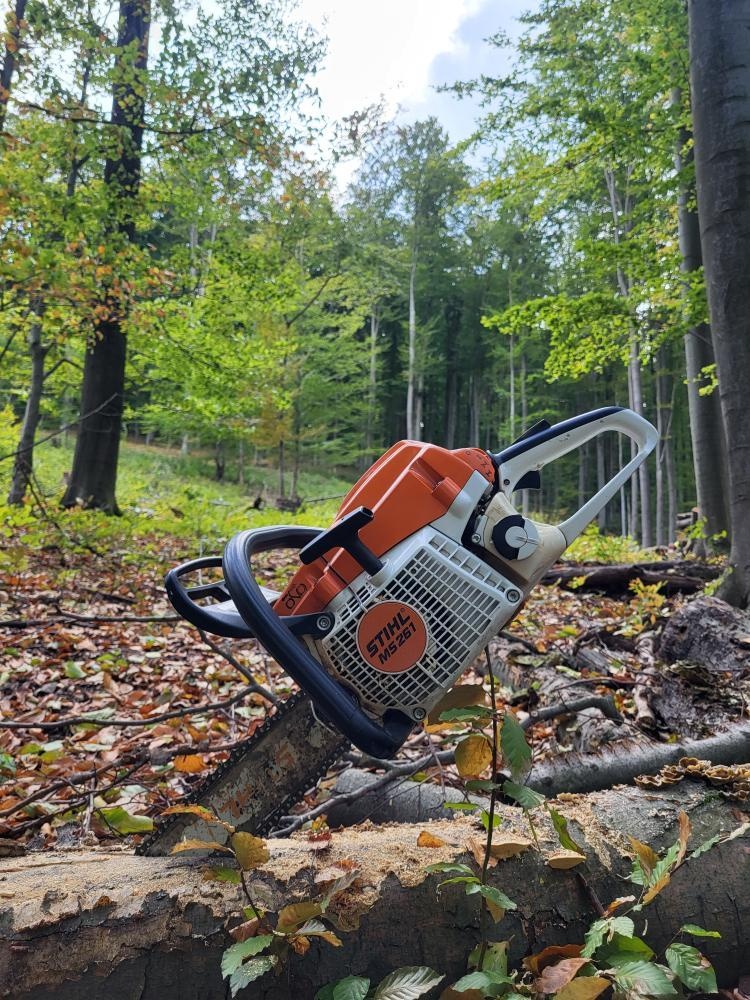 Stihl MS 261