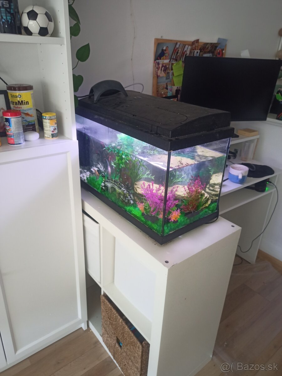 Aquarium with fishes 60x30x40 50L