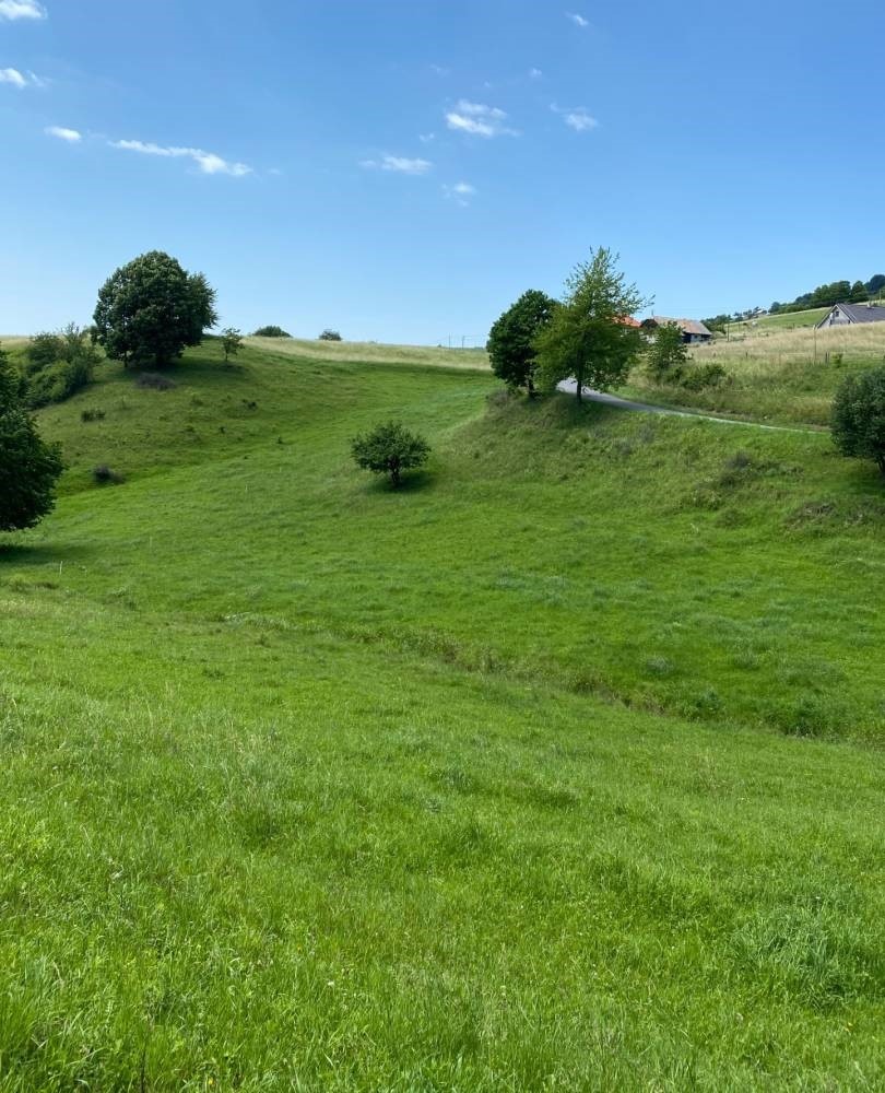 STP v Detve, časť Skliarovo, 8548 m2