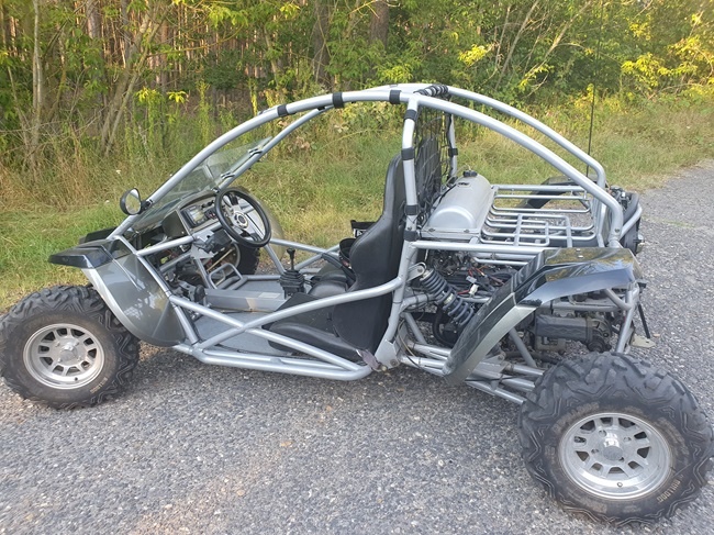 Buggy 4x4 Renli RLG1 500DZ