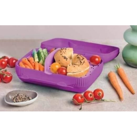 Tupperware Eco Variant Box