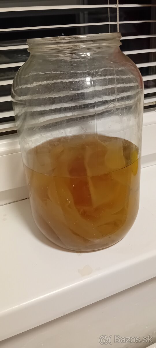 Kombucha