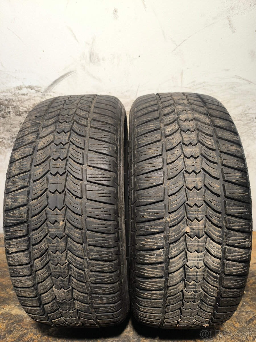 225/50 R17 Zimné pneumatiky Sava Eskimo 2 kusy