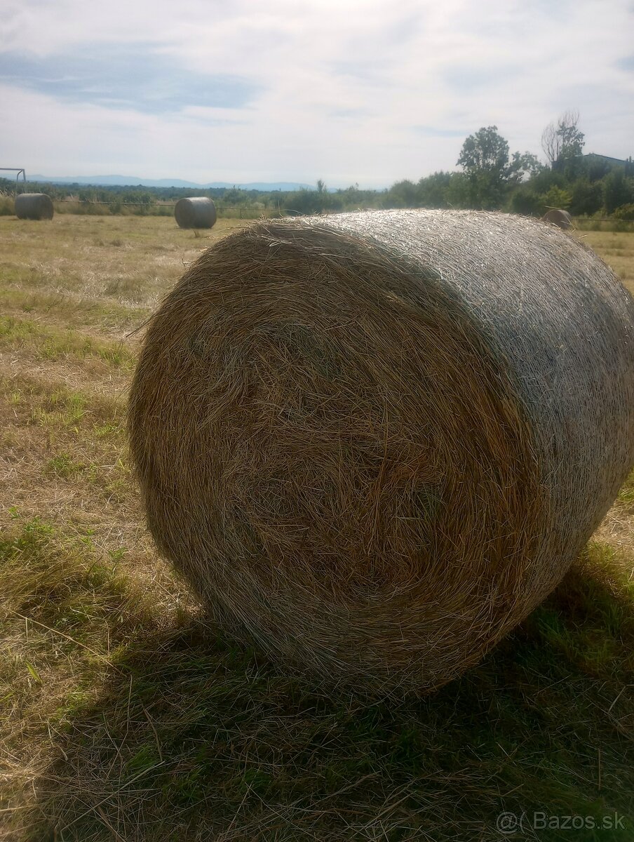 Predám balíky sena