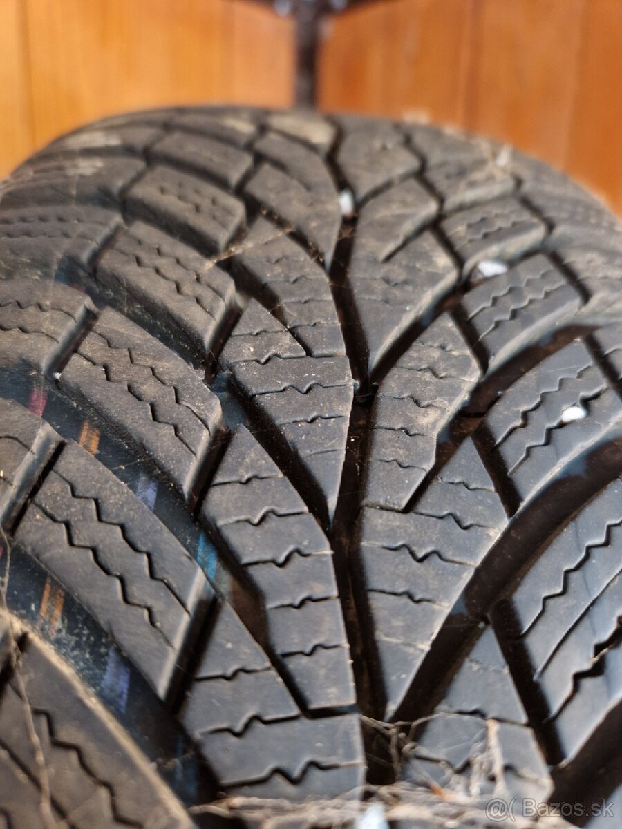 Zimne 195/65 R15