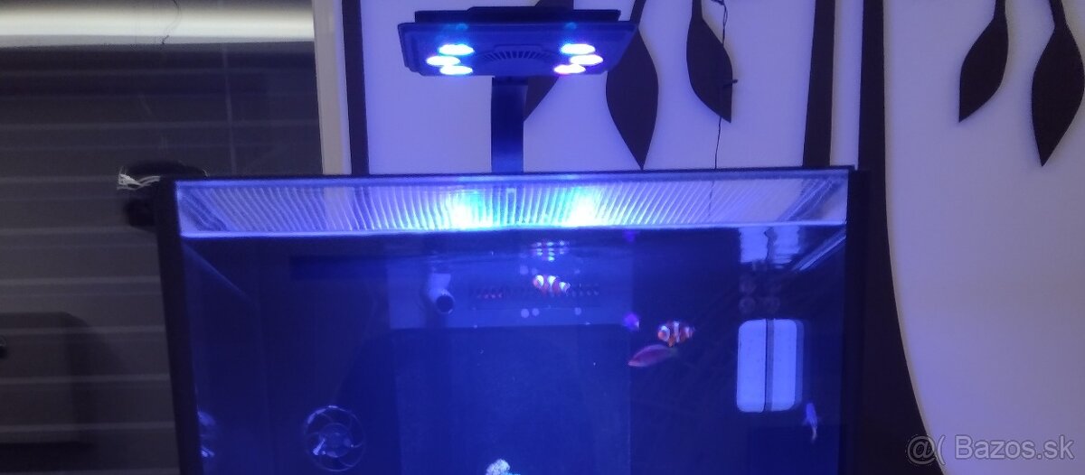 Svetlo morské akvárium Maxspect Jump LED Blue 65w