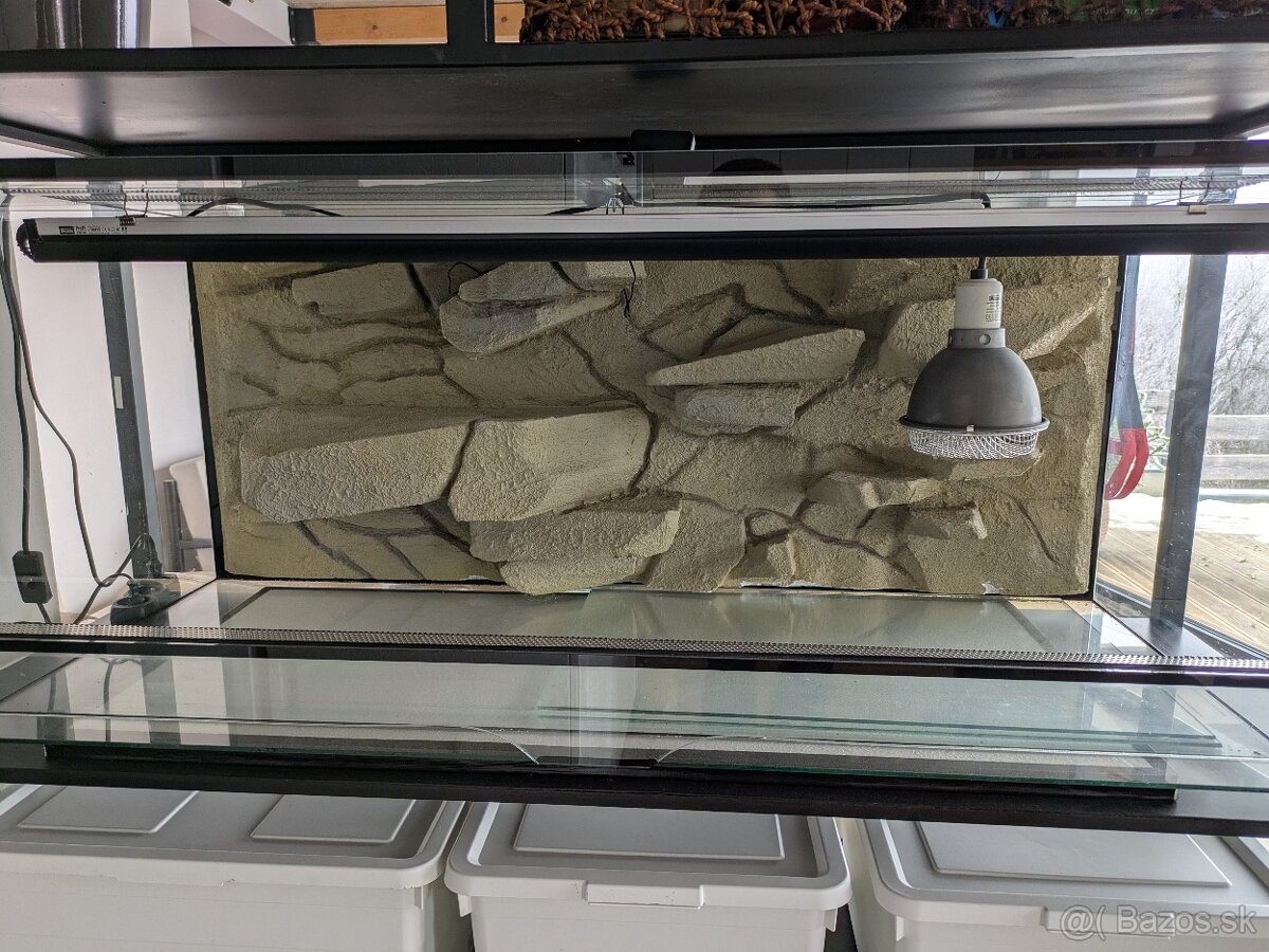 Terarium pre agamu