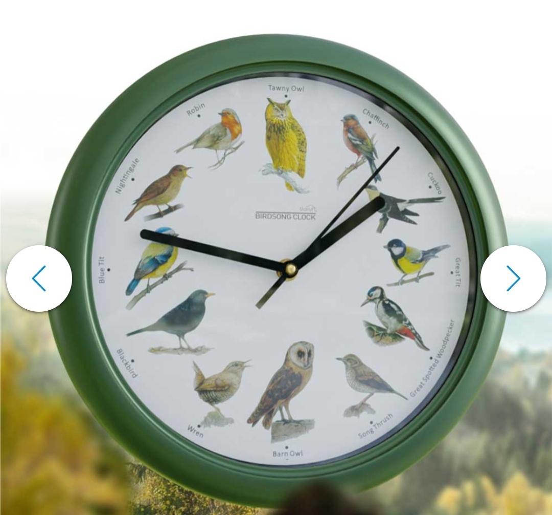 Starlyf Birdsong Clock nástenné hodiny so spevom vtákovú