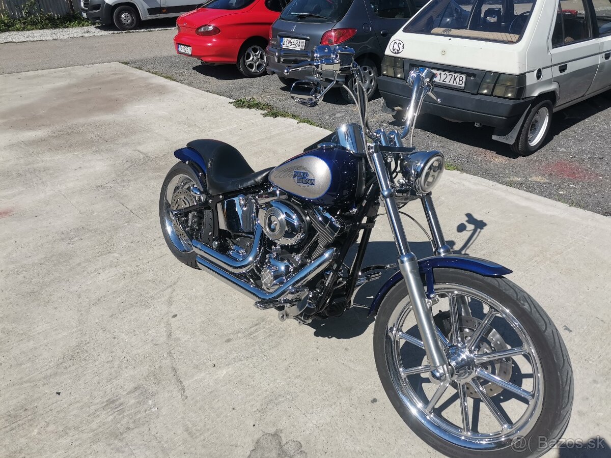 Harley davidson softail