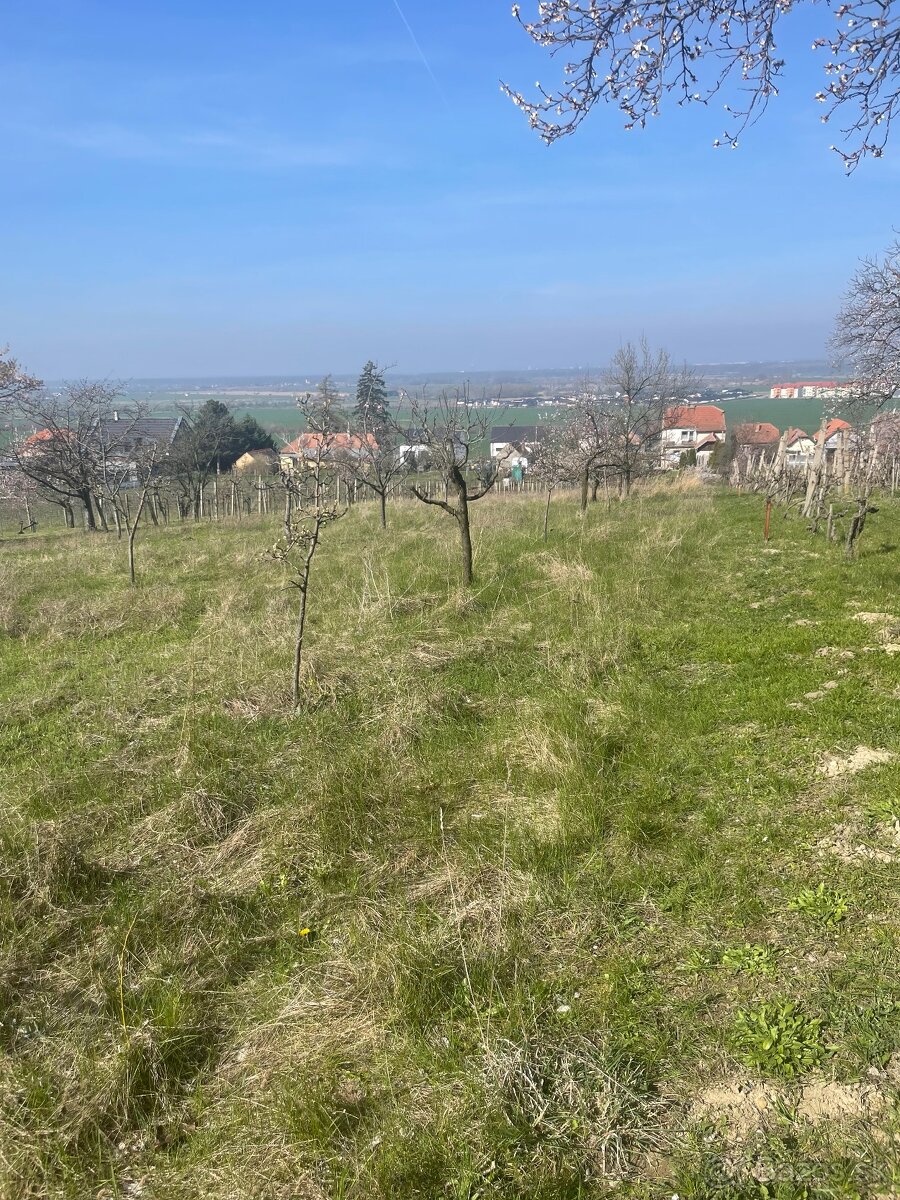 Pozemok v Skalici   EXKLUZÍVNE LEN U NÁS