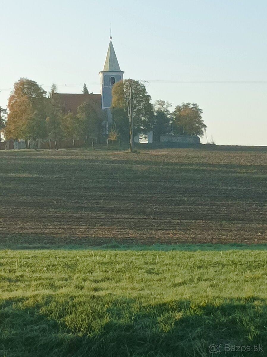 Dlhá pri Trnave