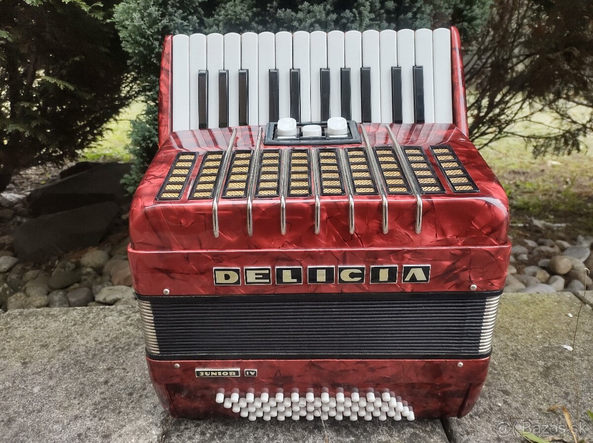 Harmonika - Delicia Junior IV 60 basová