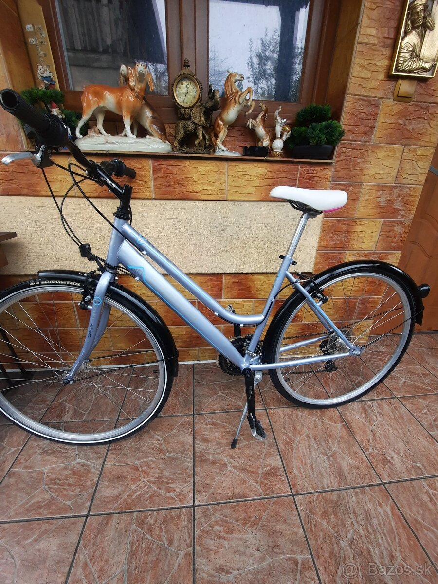 Dema passo horský bicykel