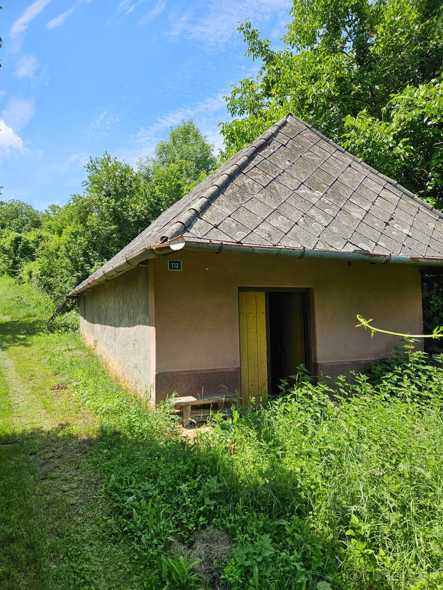 Predám viničný domček s vinicou a pozemkom