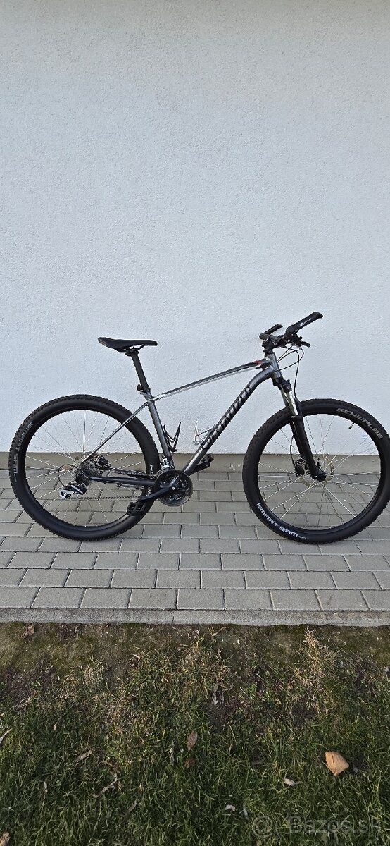 Specialized rockhopper 29er