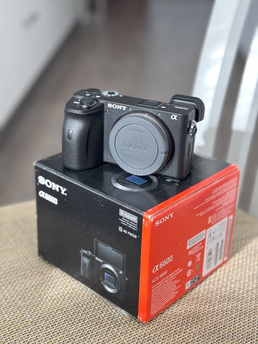 Sony Alpha a6600