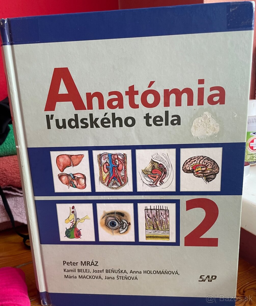 Anatomia Peter Mraz 2