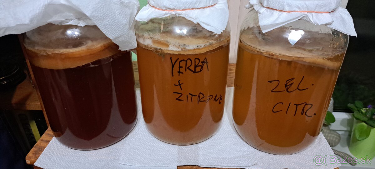 Kombucha