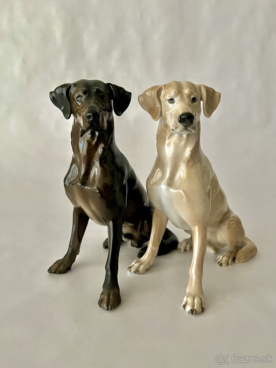 Porcelanove sosky psov labradorsky retriever