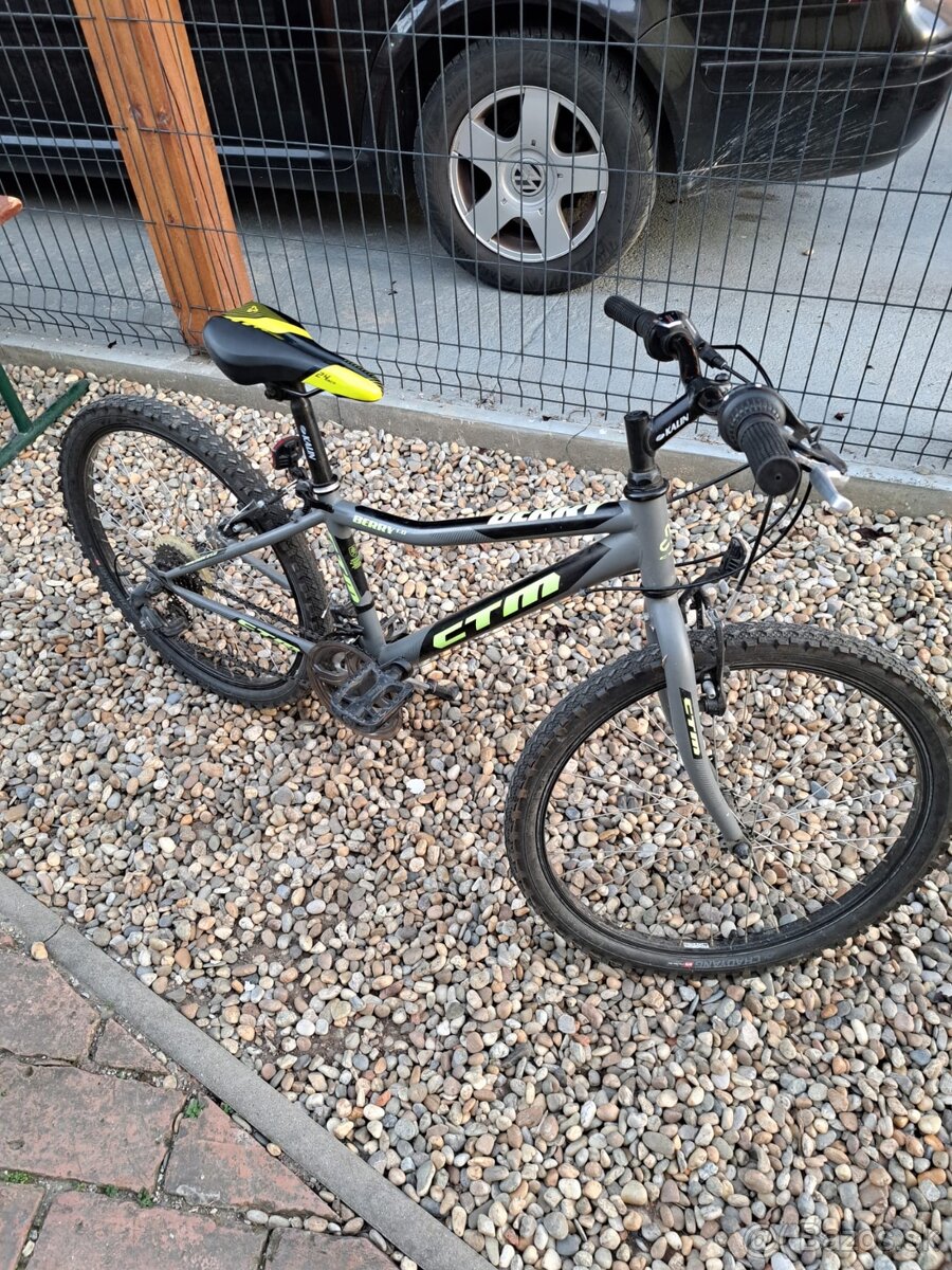 Detský horský bicykel CTM Berry 1,0