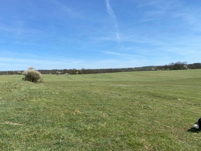 Investičný pozemok v Čabradskom Vrbovku, 92000 m2