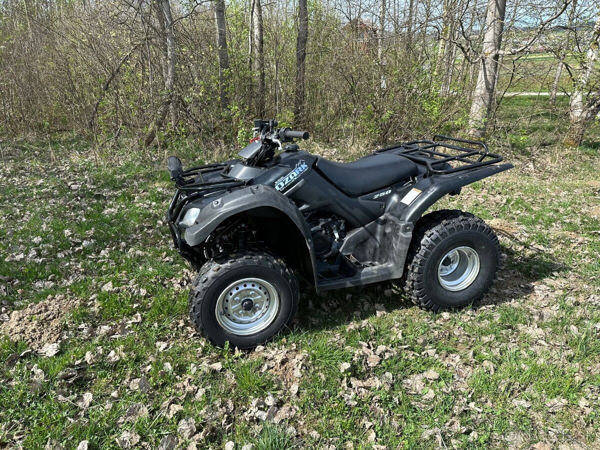 Suzuki Ozark 250