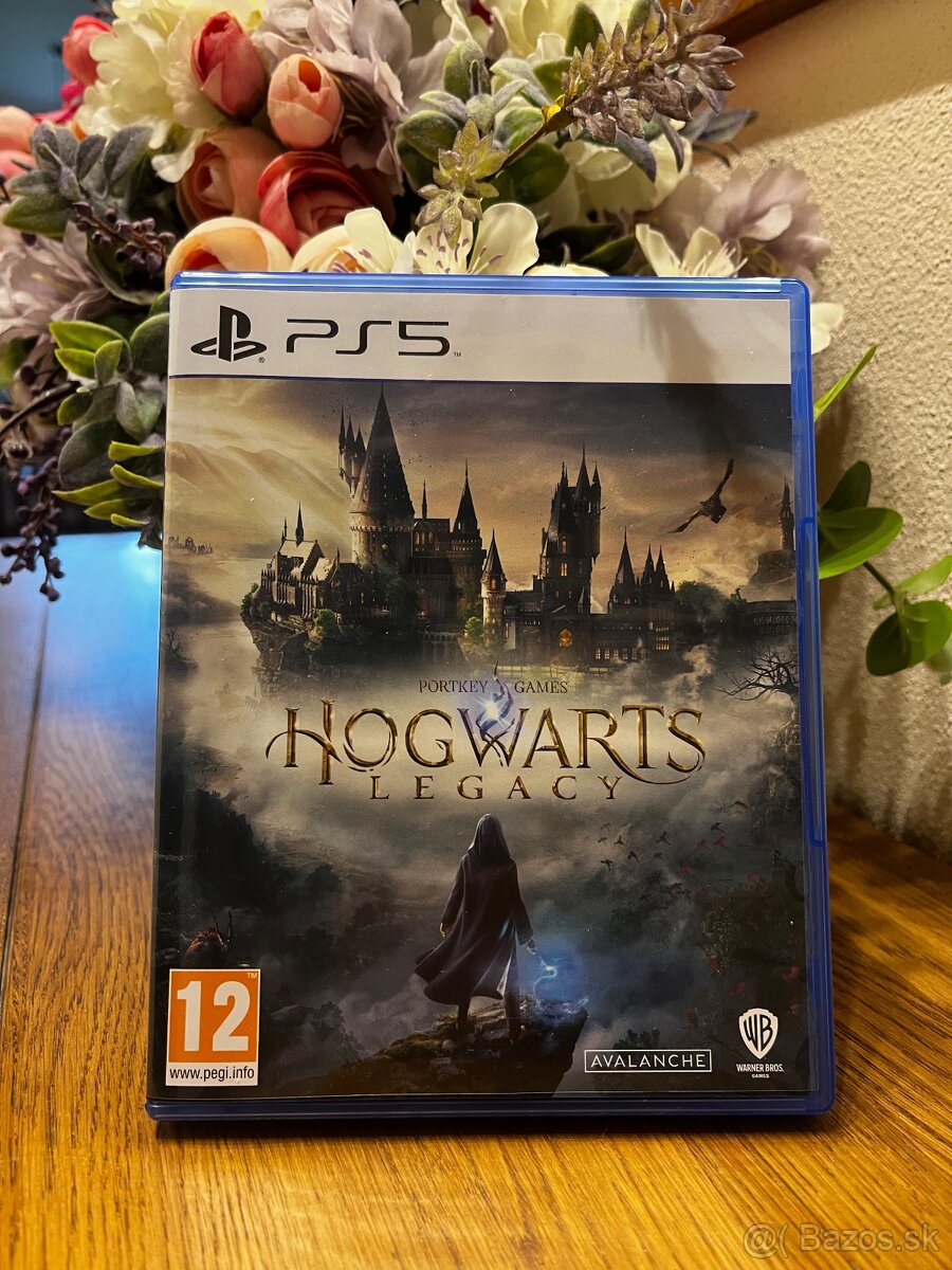 Hogwarts Legacy PS5