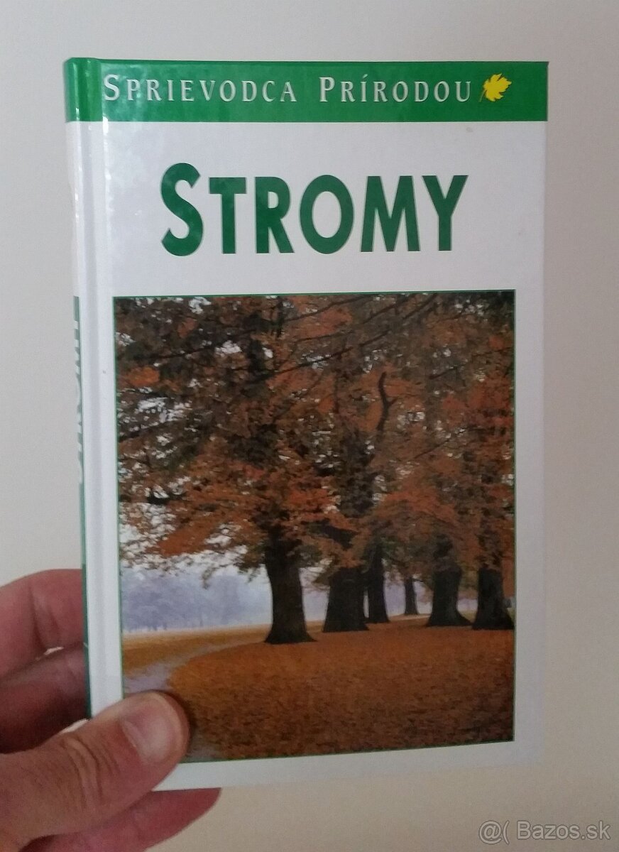 Bruno P. Kremer: Stromy