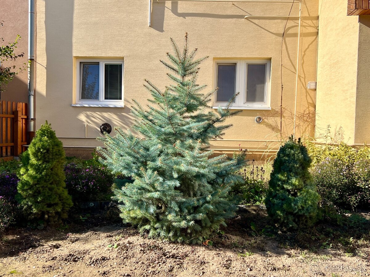 3 izb.byt s vlastným park.miestom v centre mesta Želiezovce