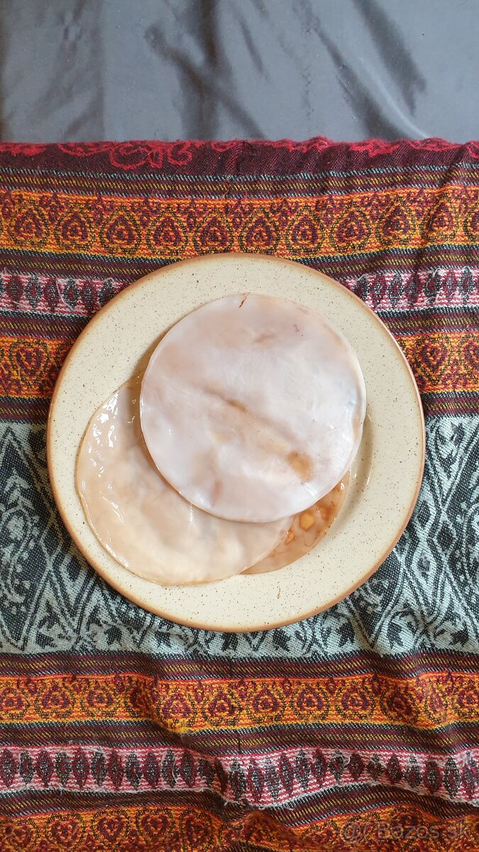 Kombucha scoby