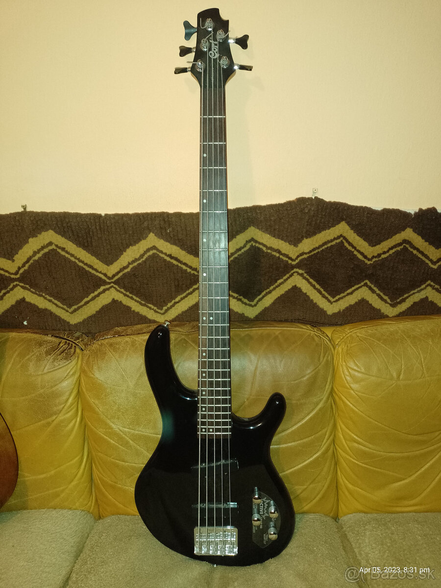 bass gitara