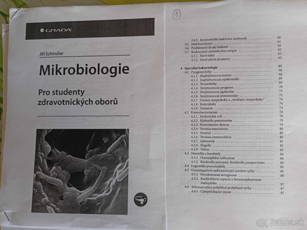 Mikrobiologie (Jiří Schindler)