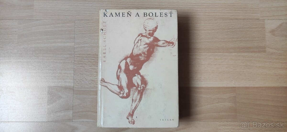 Karel Schulz - Kameň a bolesť (Michelangelo)