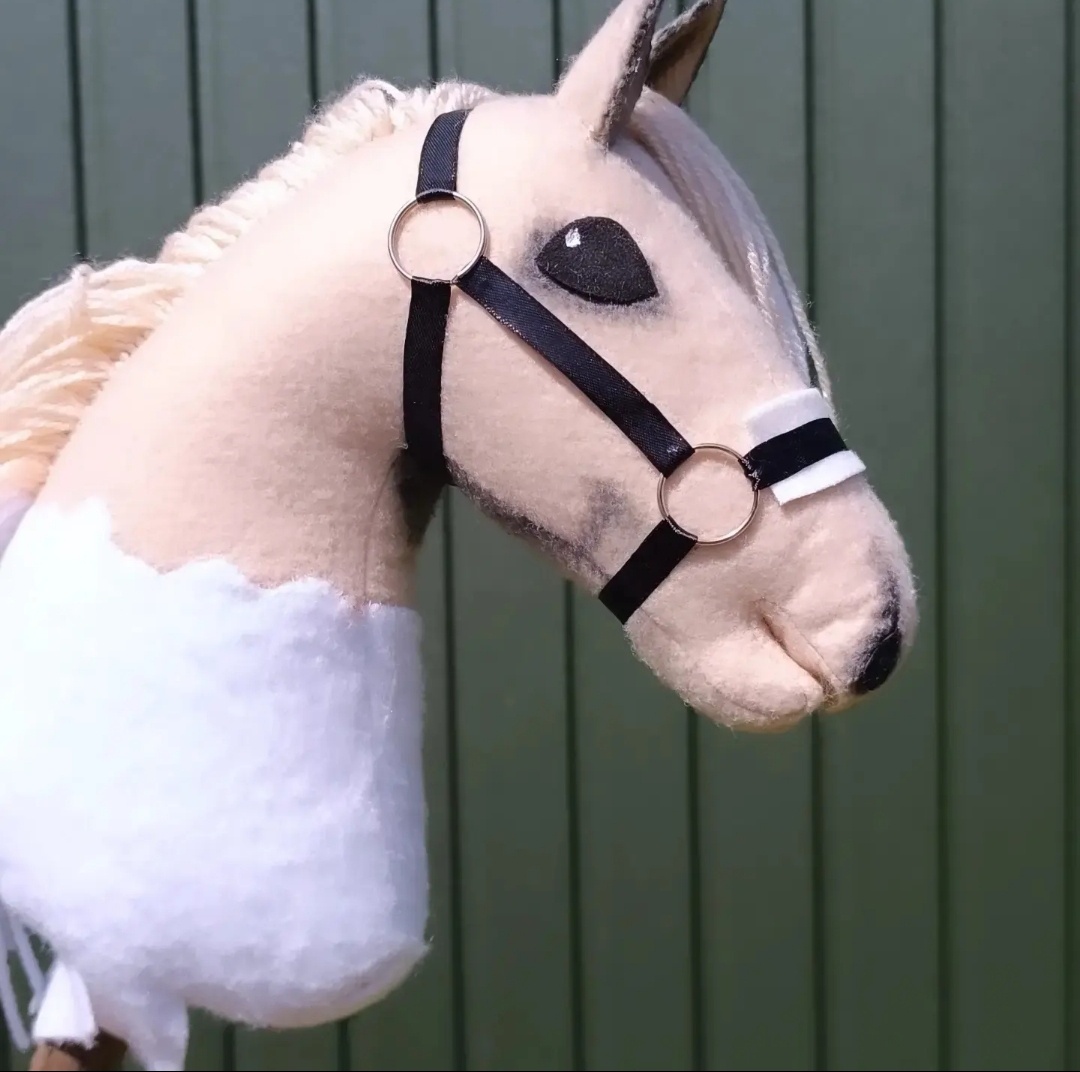 Hobbyhorse pony