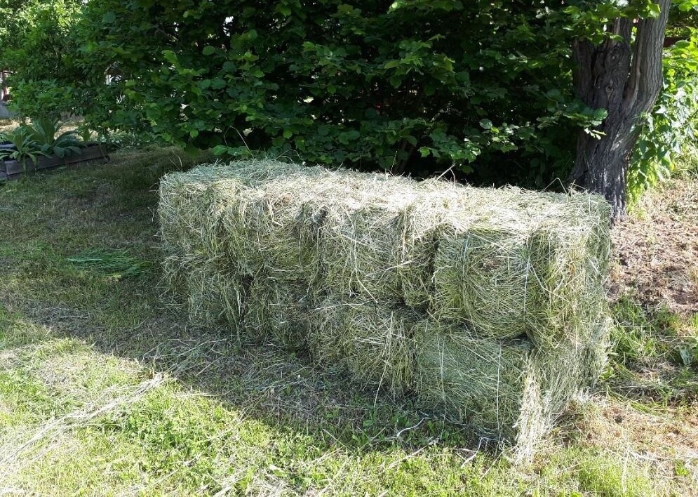 Seno v malých balíkoch kocky