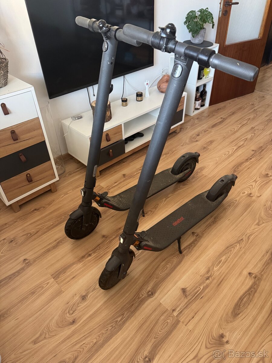 Ninebot KickScooter E25E