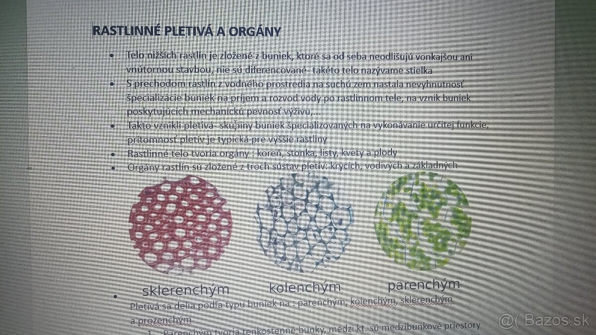 MATURITNÉ TÉMY- SJL, AJ, BIO, OBN