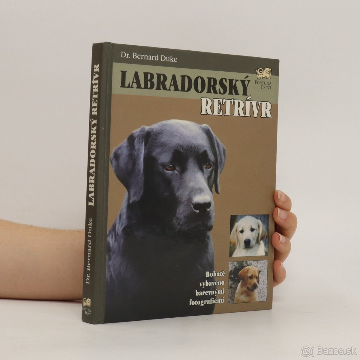 Labradorský retrívr