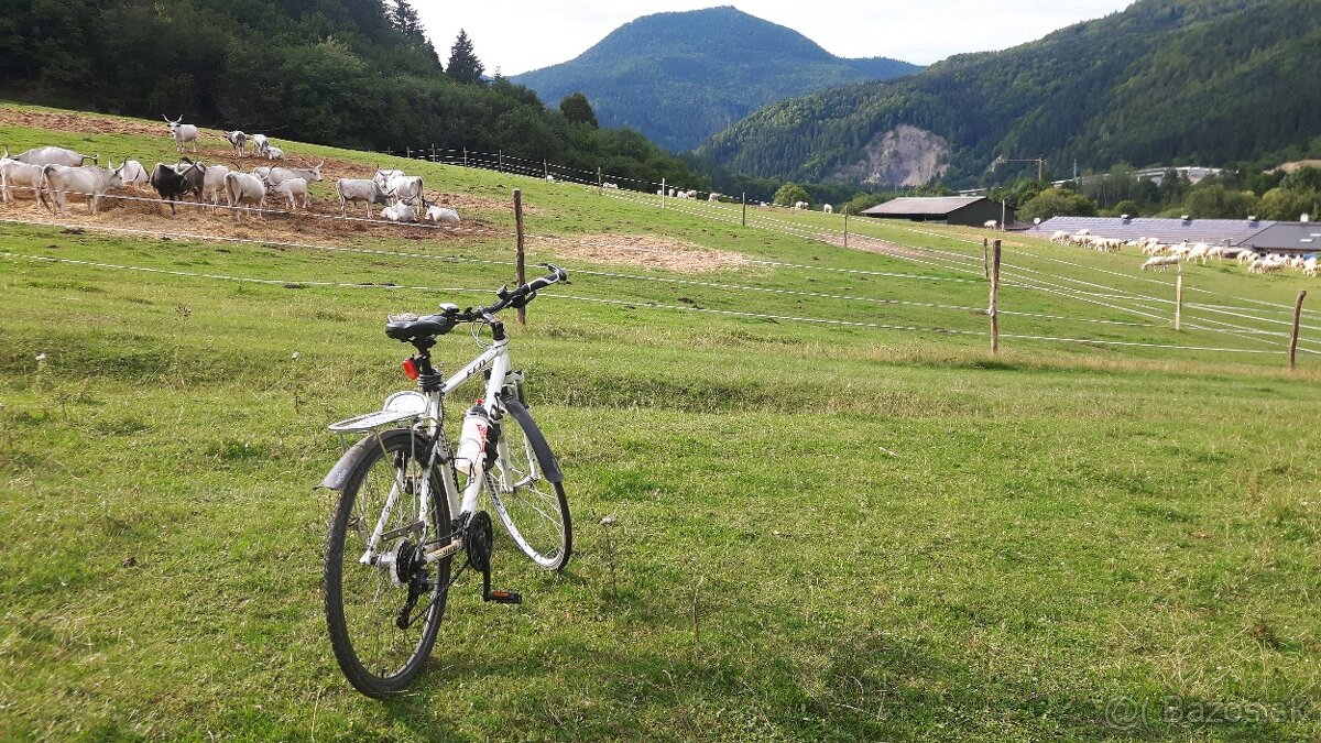 Trekingový bicykel Alpina