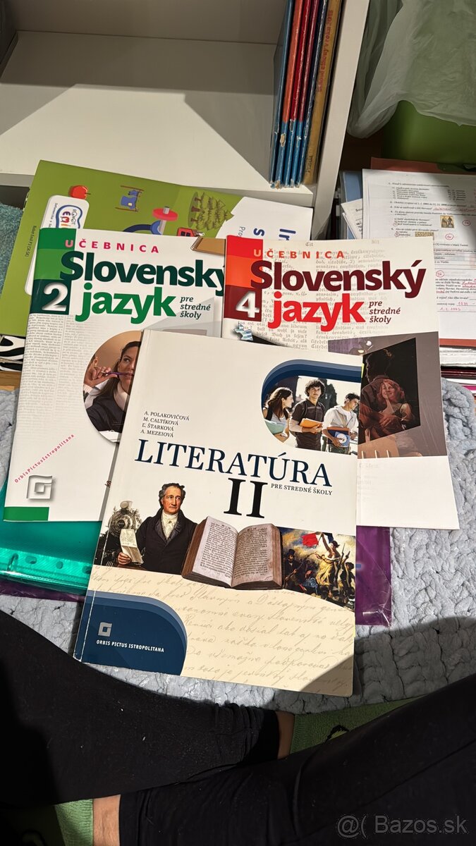 Slovenský jazyk a literatúra