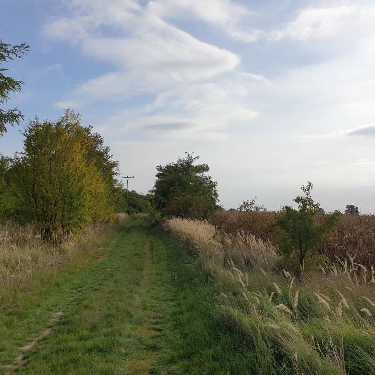 Rekreačný pozemok za Potočnou ul. v Báhoni, 30km od Bratisla