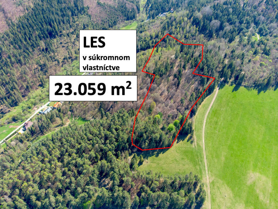 Spišská Nová Ves 23.059 m2 – LES v podiele 1/1