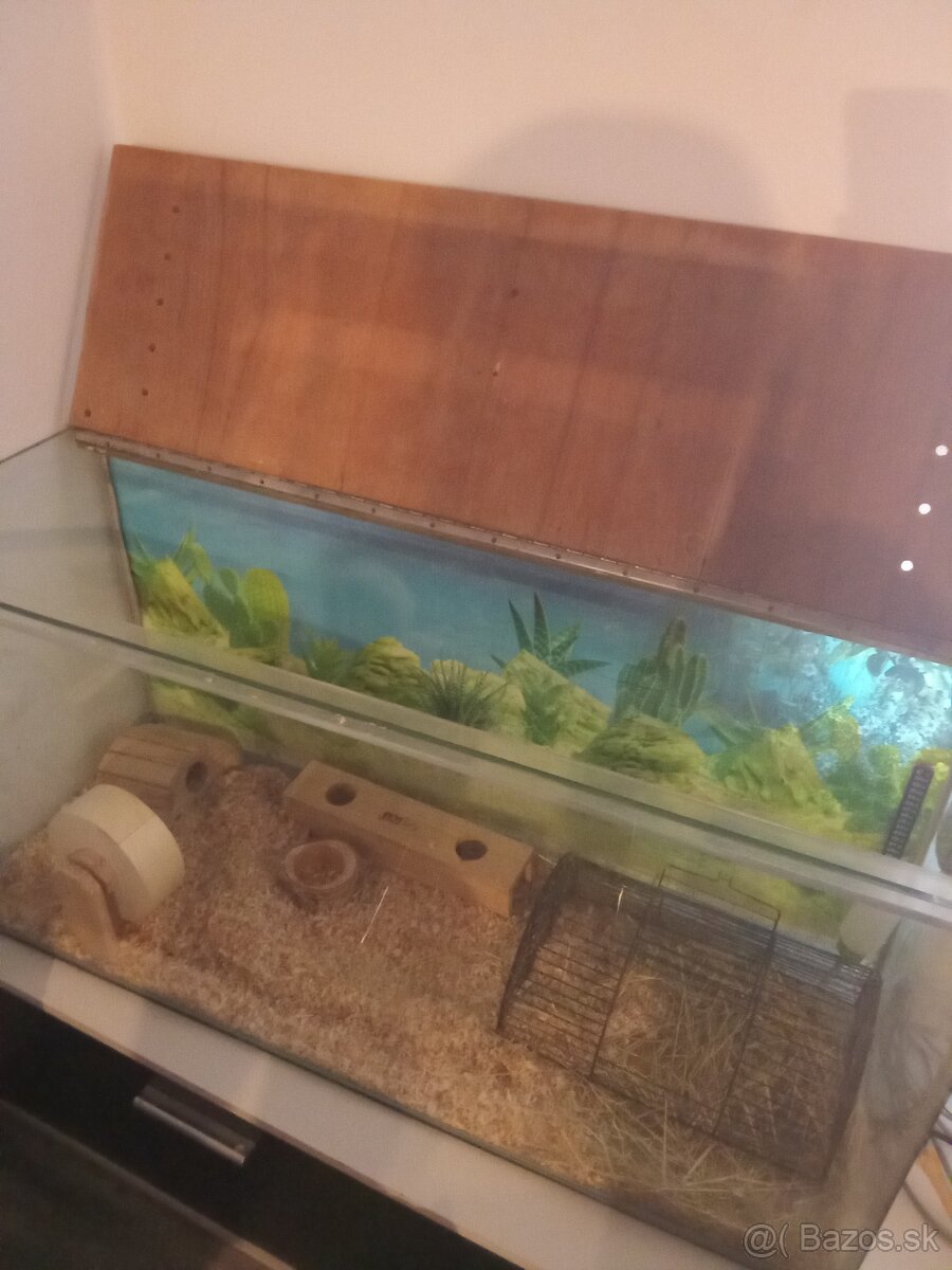 Terarium