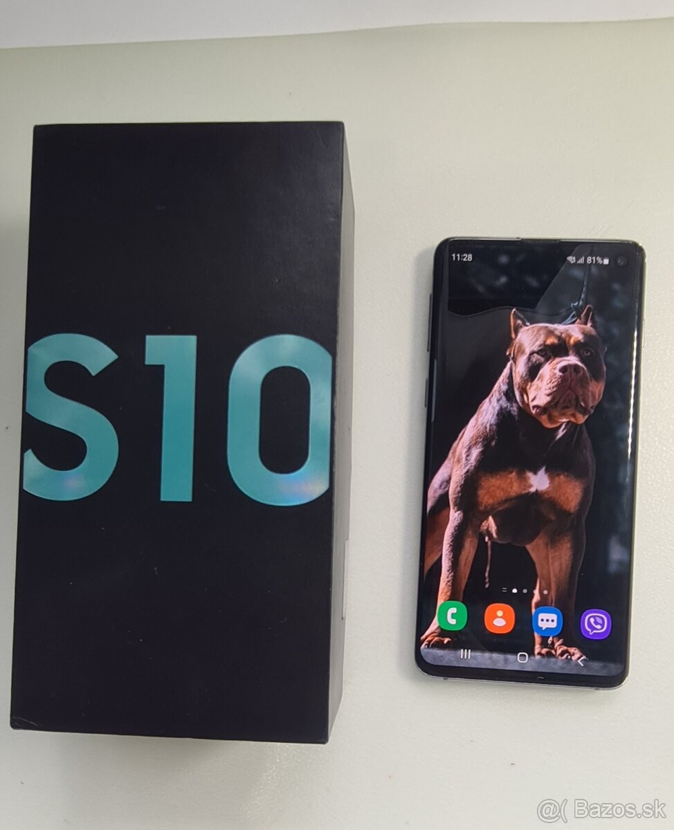 Samsung S10