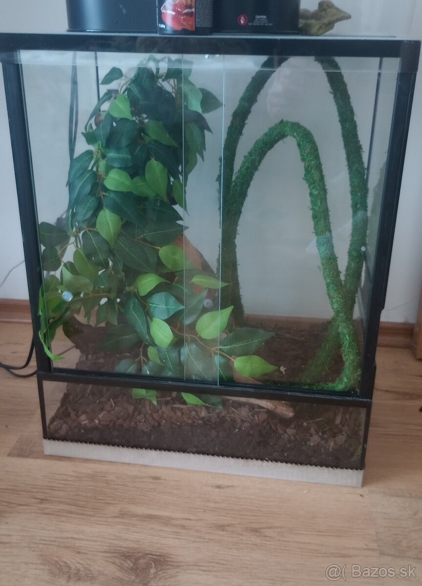 Terarium pre chameleóna