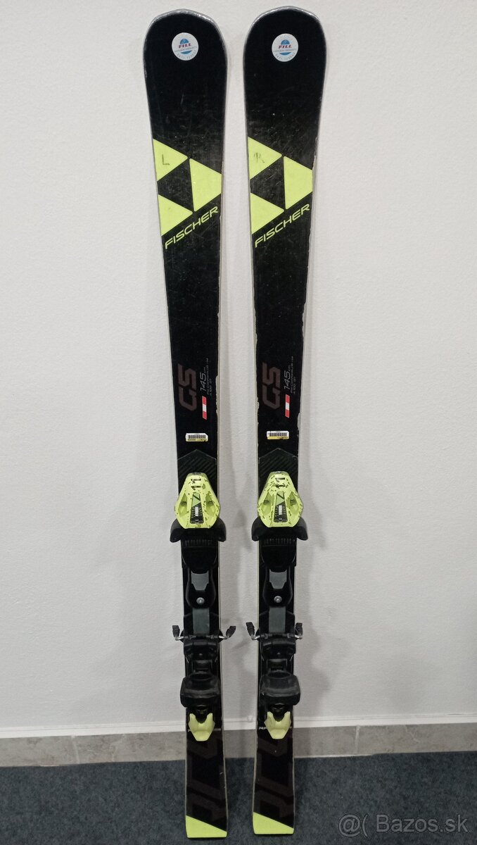 World cup gs