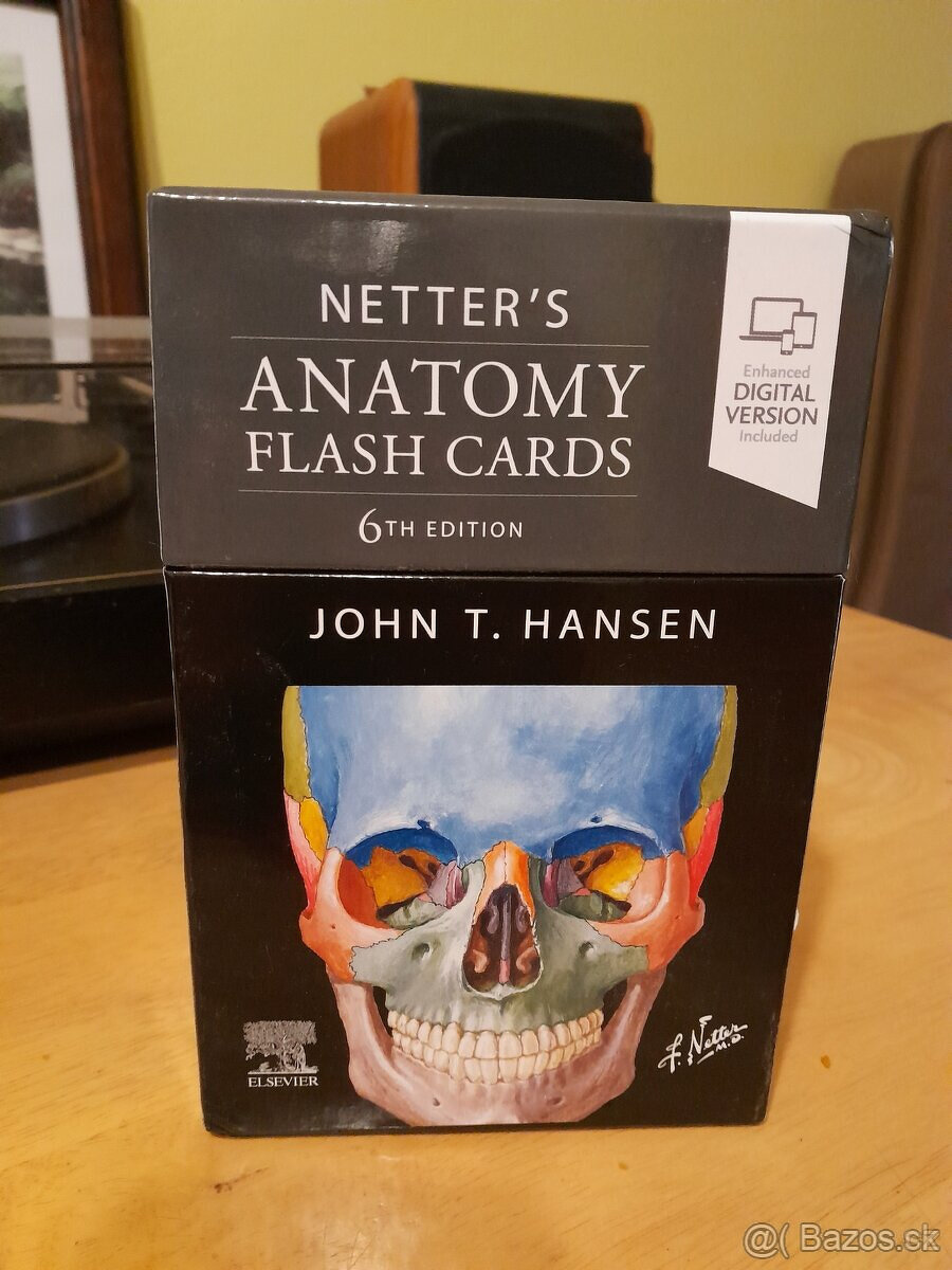 Netter Anatomy Flash Cards