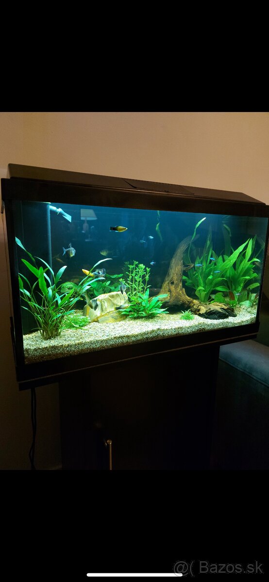 Akvarium so stojanom +prislusenstvo