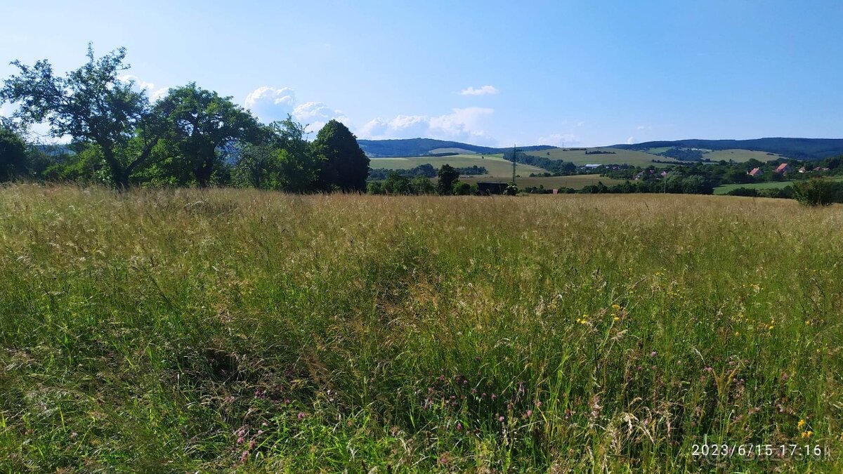 na predaj pozemky v katastri Poriadie okr. Myjava