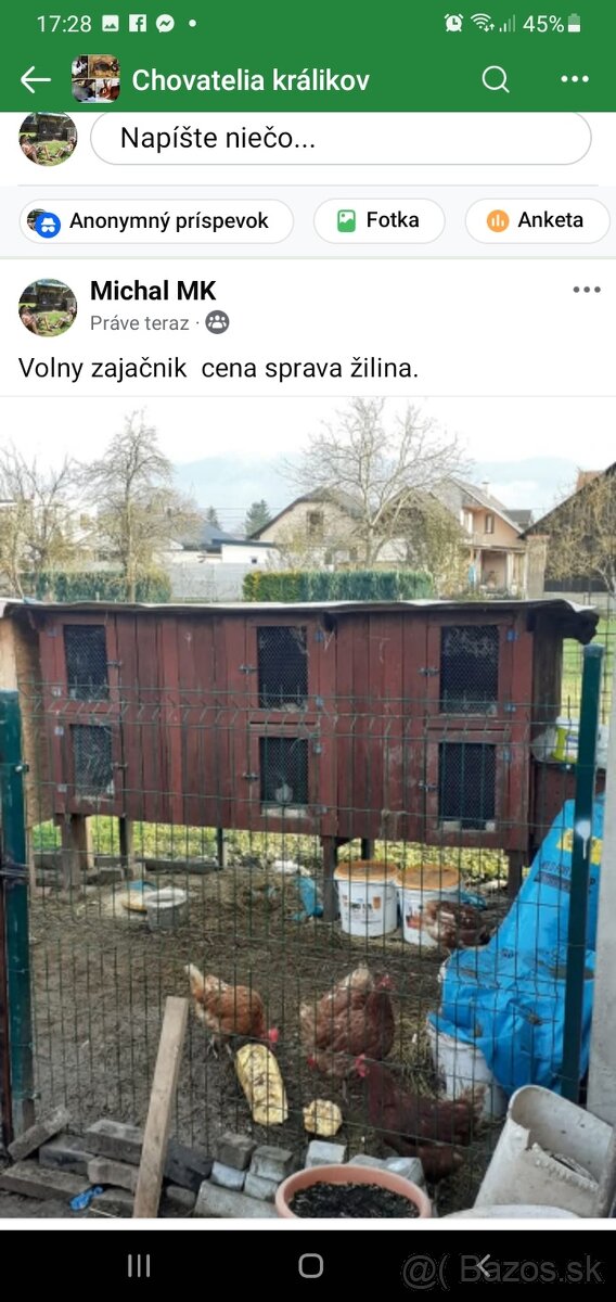 Zajačnik